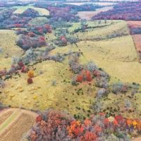 Dallas County IA Land For Sale 120 - Acres images 5