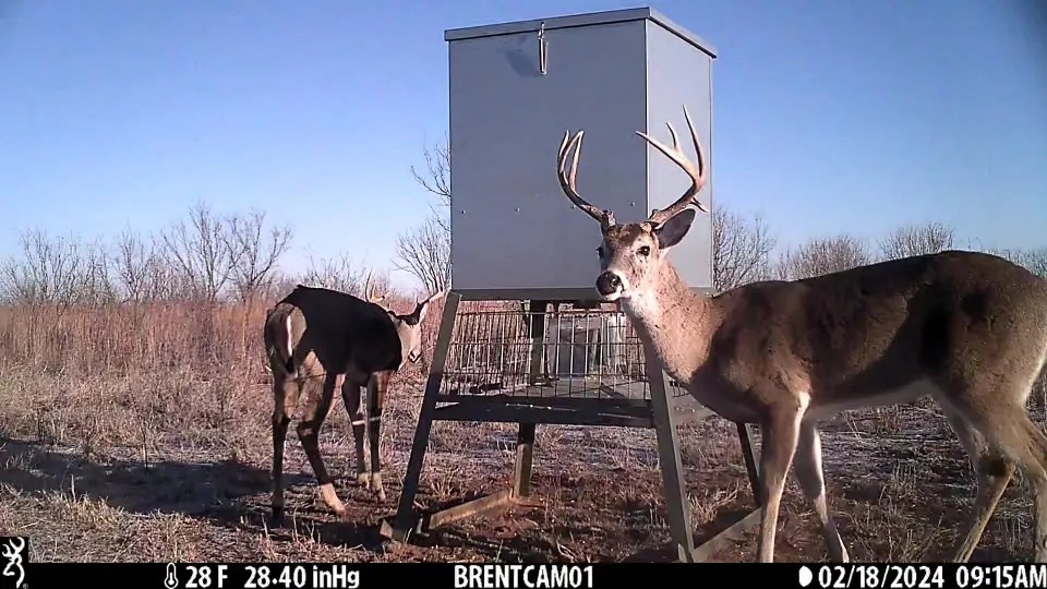 Back on the Market 81.56 Acres Jones County West featured image