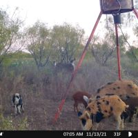 Back on the Market 81.56 Acres Jones County West images 2