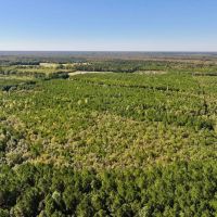 66 Acres of Multi-Use Land For Sale in Craven County NC images 3