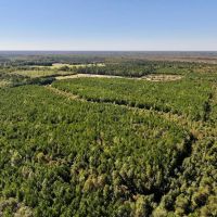 66 Acres of Multi-Use Land For Sale in Craven County NC images 4