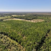 66 Acres of Multi-Use Land For Sale in Craven County NC images 5