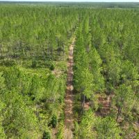 130 - Ac Recreational Timberland for Sale in Charlton County GA
