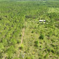 130 - Ac Recreational Timberland for Sale in Charlton County GA images 3