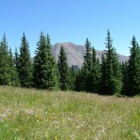 13 Timber Ridge at Cordova Pass