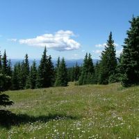 13 Timber Ridge at Cordova Pass images 4