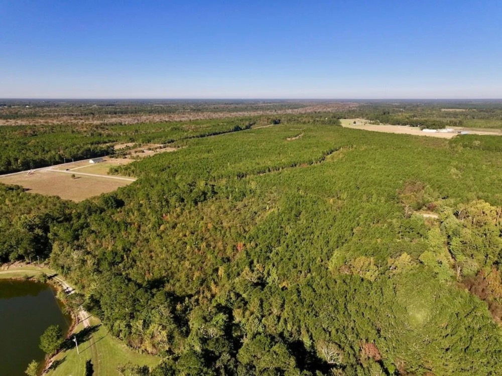 29.9 Acres of Recreational Timber Land For Sale in Craven County NC featured image