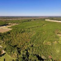 29.9 Acres of Recreational Timber Land For Sale in Craven County NC
