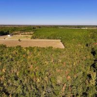 29.9 Acres of Recreational Timber Land For Sale in Craven County NC images 2