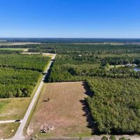 29.9 Acres of Recreational Timber Land For Sale in Craven County NC images 3