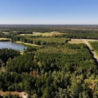 29.9 Acres of Recreational Timber Land For Sale in Craven County NC images 4