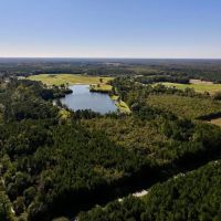 29.9 Acres of Recreational Timber Land For Sale in Craven County NC images 5
