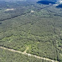 15 Acres T-5 Hunters Hill Road images 4