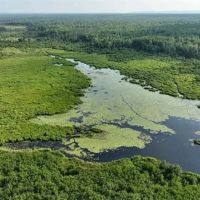 Parcel B 80 Acres 50160035 images 3