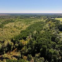 62 Acres of Recreational Timberland For Sale in Craven County NC images 3