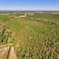 62 Acres of Recreational Timberland For Sale in Craven County NC images 5