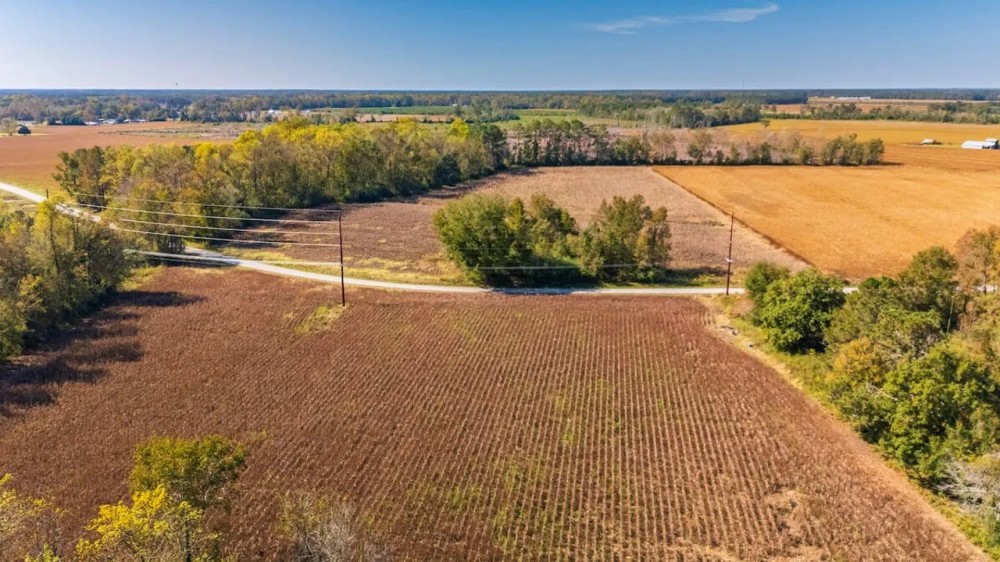 65 Acres of Farm Hunting Recreational and Possible Build Site For Sale in Onslow County NC featured image