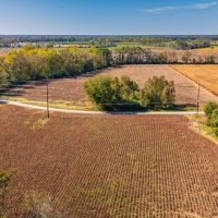 65 Acres of Farm Hunting Recreational and Possible Build Site For Sale in Onslow County NC