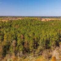 65 Acres of Farm Hunting Recreational and Possible Build Site For Sale in Onslow County NC images 2