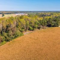 65 Acres of Farm Hunting Recreational and Possible Build Site For Sale in Onslow County NC images 3