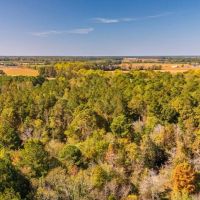 65 Acres of Farm Hunting Recreational and Possible Build Site For Sale in Onslow County NC images 5