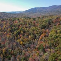 88 Acres of Recreational and Hunting Land For Sale in Patrick County VA