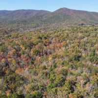88 Acres of Recreational and Hunting Land For Sale in Patrick County VA images 3