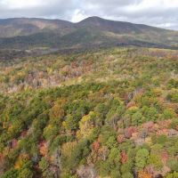 88 Acres of Recreational and Hunting Land For Sale in Patrick County VA images 4
