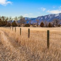 Yellowstone Riverbend images 5