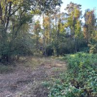 55.77 Acres in Lincoln County MS images 3