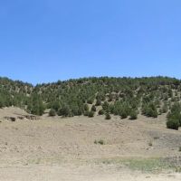 37 acres County Road Access no HOA POA images 2