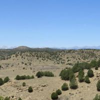 37 acres County Road Access no HOA POA images 5