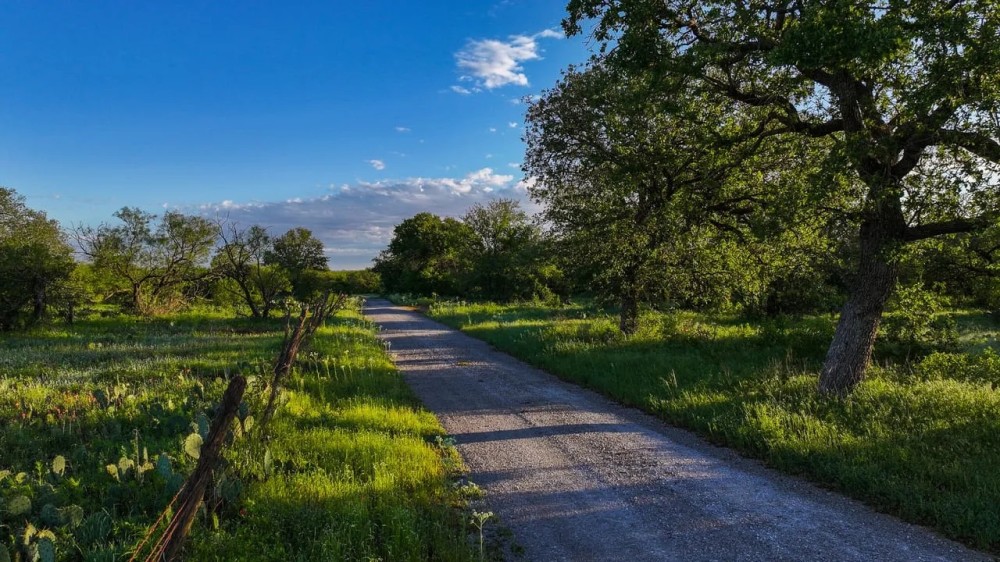 Timber Trails Ranch featured image