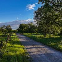 Timber Trails Ranch
