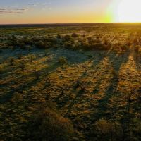 Timber Trails Ranch images 5