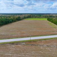13.7 acres of Agricultural Land For Sale in Pamlico County NC images 2