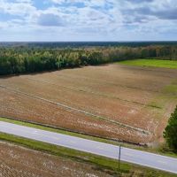 13.7 acres of Agricultural Land For Sale in Pamlico County NC images 3