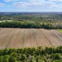 13.7 acres of Agricultural Land For Sale in Pamlico County NC images 4