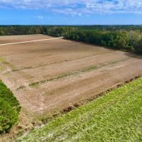 13.7 acres of Agricultural Land For Sale in Pamlico County NC images 5