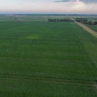 Charles Mix Farmland 2