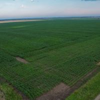 Charles Mix Farmland 2 images 4
