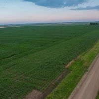 Charles Mix Farmland 2 images 5