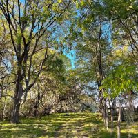03-050-pike-road-estate-lot images 2