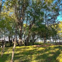 03-050-pike-road-estate-lot images 4