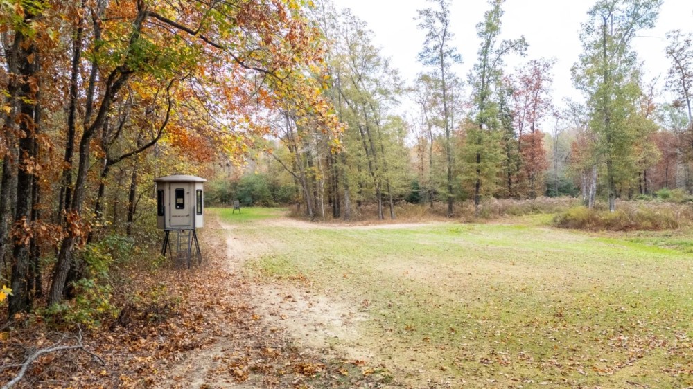 Cane Creek Woods featured image