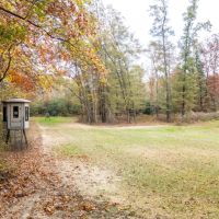 Cane Creek Woods