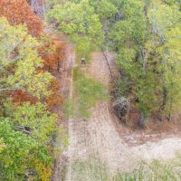 Cane Creek Woods images 2
