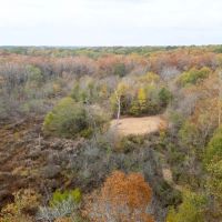 Cane Creek Woods images 3