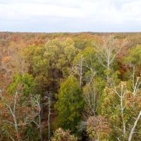 Cane Creek Woods images 4