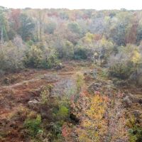 Cane Creek Woods images 5